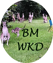 Blue Mountains World Kangaroo Day